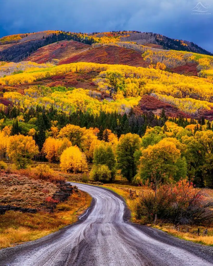 Colorado Fall Foliage-awaken