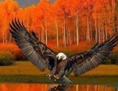 Our Sacred Planet Mother Earth in all of it’s Amazing Beauty and the Quote of the Day 284