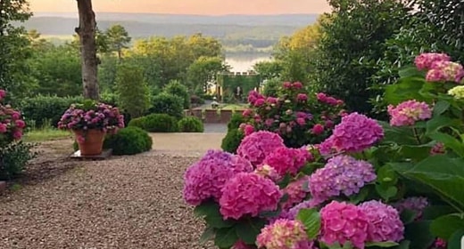 walking in a garden to know it." - Rumi⁣⁣ -awaken