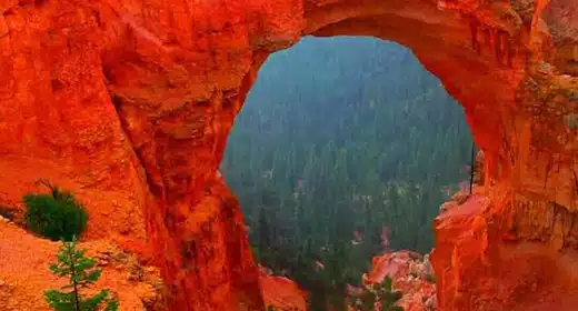 Canyon, Utah-awaken