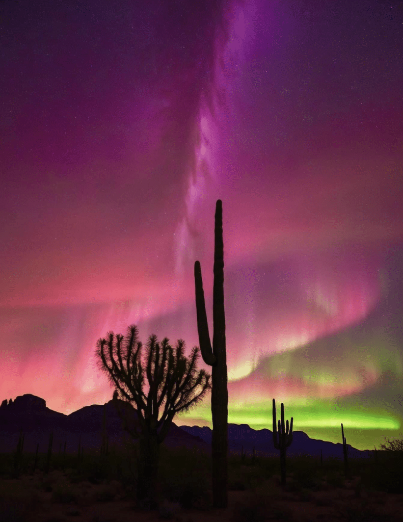 A Recent Night in Arizona-awaken