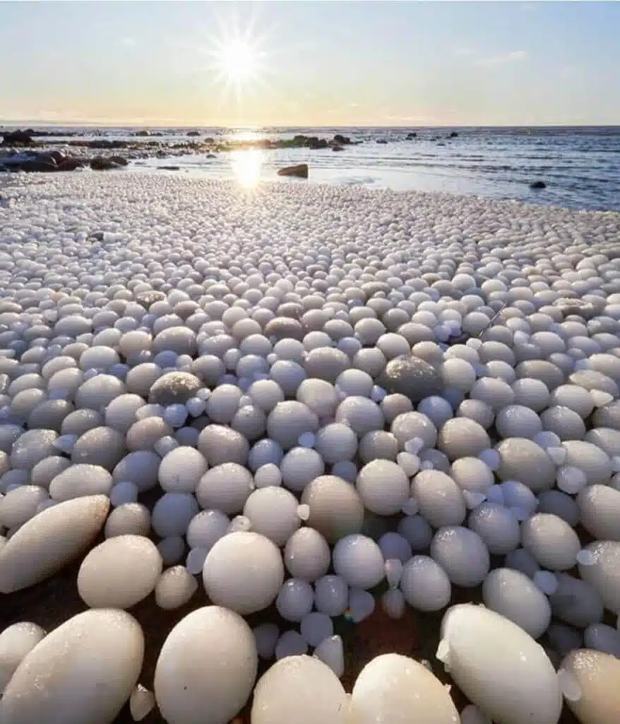 Beach in Finland. Ice eggs instead of stones.-awaken