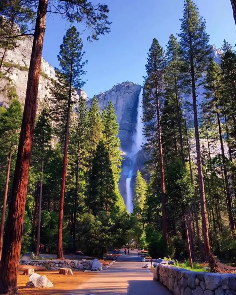 Yosemite National Park In California, USA-awaken