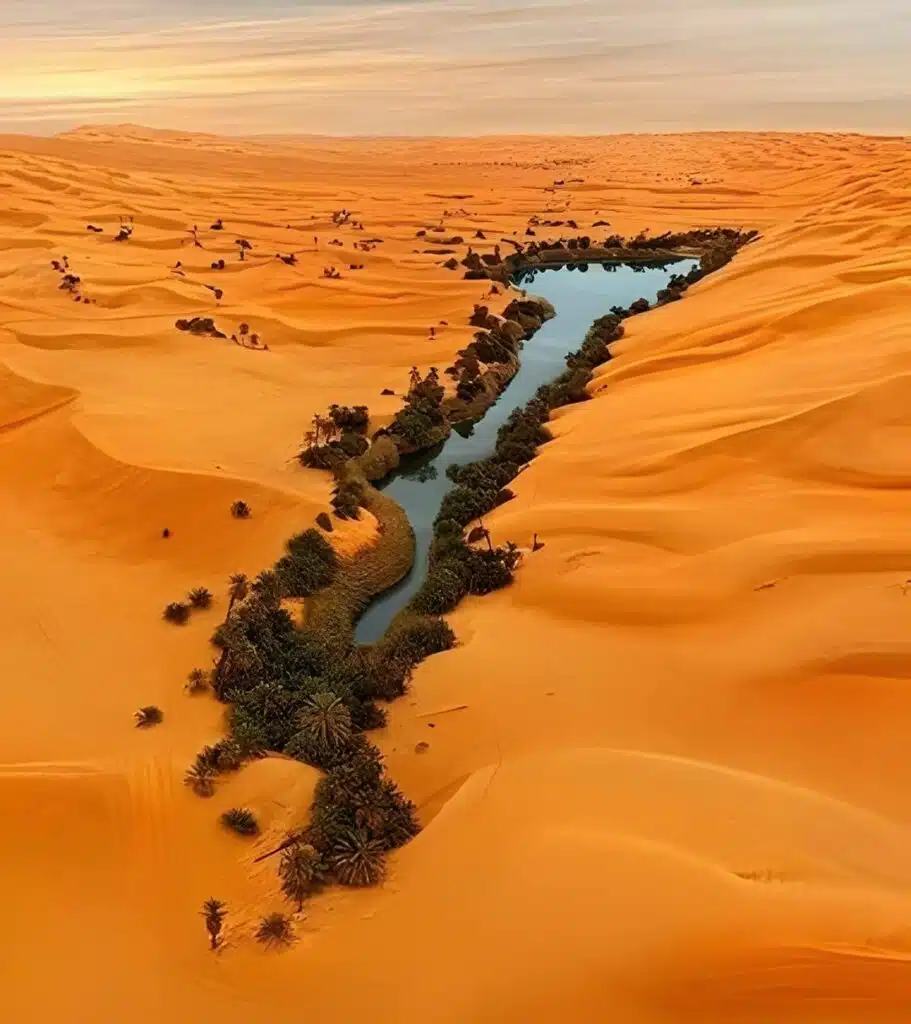 hat an oasis in Libya looks like.-awaken