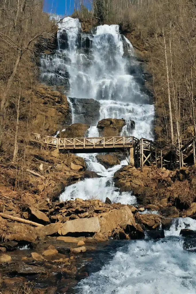 Amicalola Falls State Park, Georgia-awaken