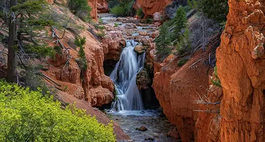 Bryce National Park-awaken