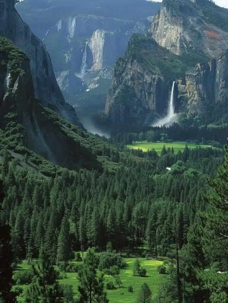 Yosemite National Park, California-awaken