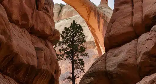 Druid Arch in Canyonlands National Park, Utah. United States-awaken