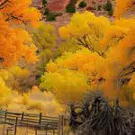 Capitol Reef National Park, Utah-awaken