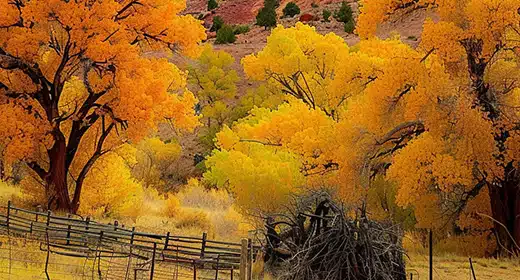 Capitol Reef National Park, Utah-awaken