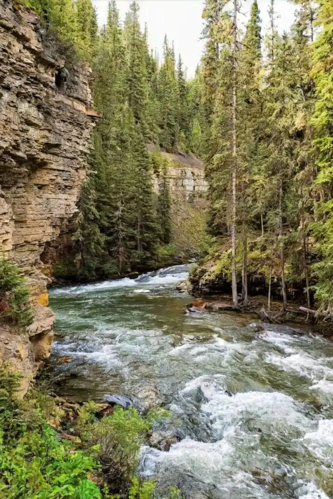 Gallatin River, Montana, USA-awaken