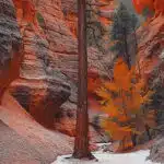 Black Bear Pass Road south of Ouray, Colorado-awaken