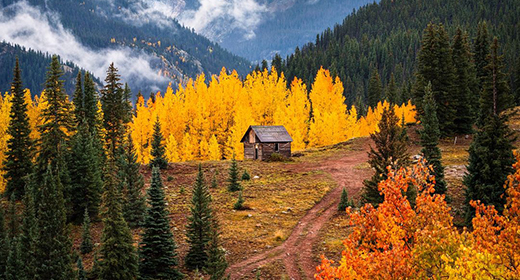 San Juan Mountain Autumn Photo - Fall Colors Picture - Cabin in the Woods-awaken