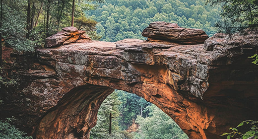 The Red River Gorge, Kentucky-awaken