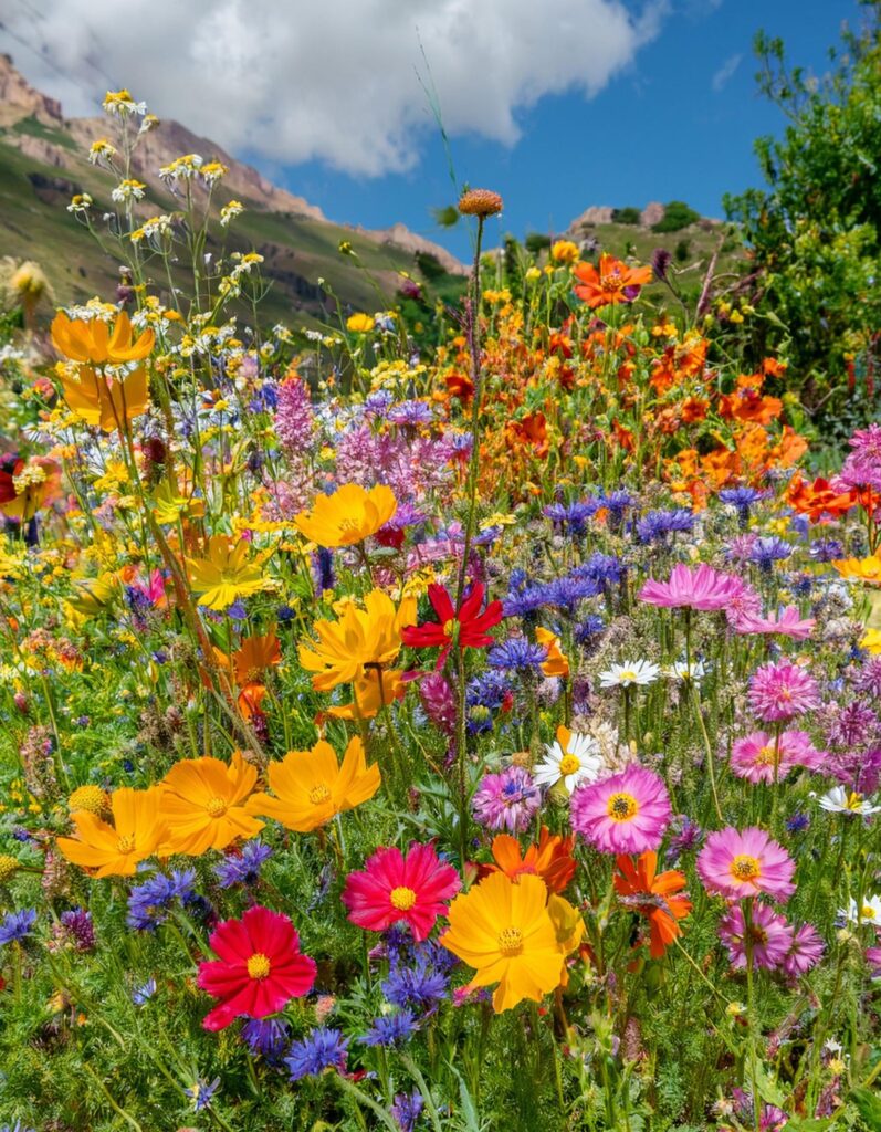 May flowers tucked away along the hillside-awaken