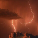 Amazing Saguaro National Park in Arizona-awaken