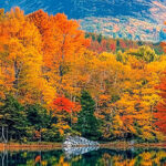 Beautiful colors of Autumn-awaken