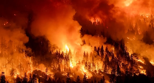 Point of No Return-awaken