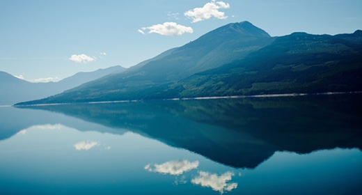 Clear Your Mind, Calm the World-awaken